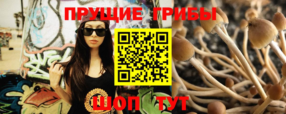 Галлюциногенные грибы Psilocybe  Вход с VPN  Псилоцибиновые грибы Cubensis  Нурлат 